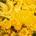 Load image into Gallery viewer, Mimosa Petite Bloom Box