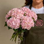Load image into Gallery viewer, Pink Hydrangea