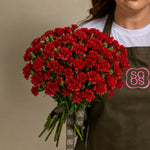 Load image into Gallery viewer, Red Carnation