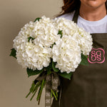 Load image into Gallery viewer, White Hydrangea