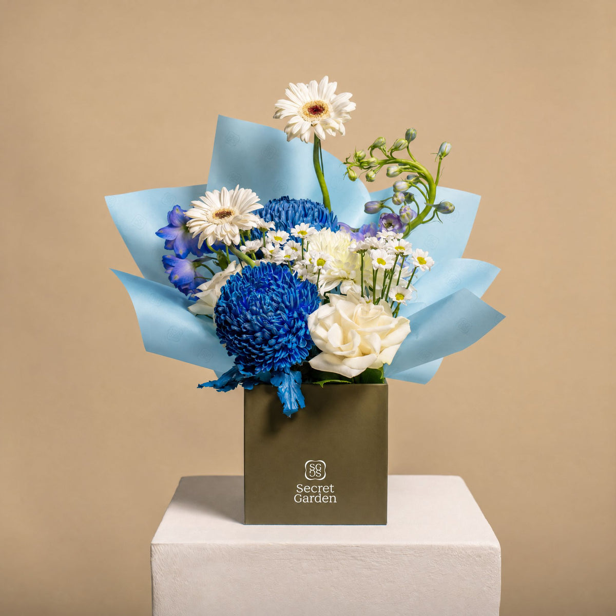 Aquamarinepetitebloombox1