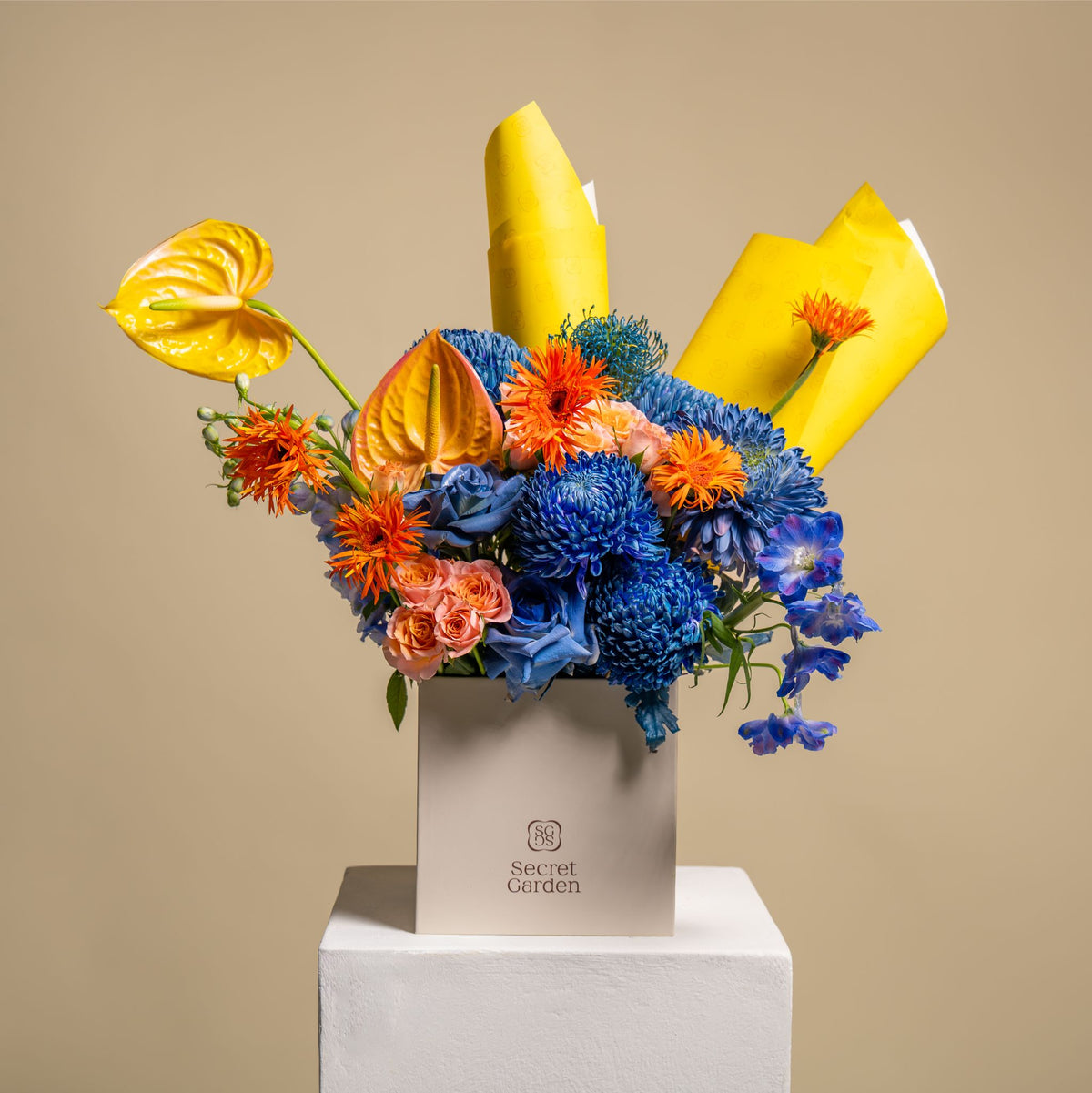 Citrusskiessignaturebloombox1