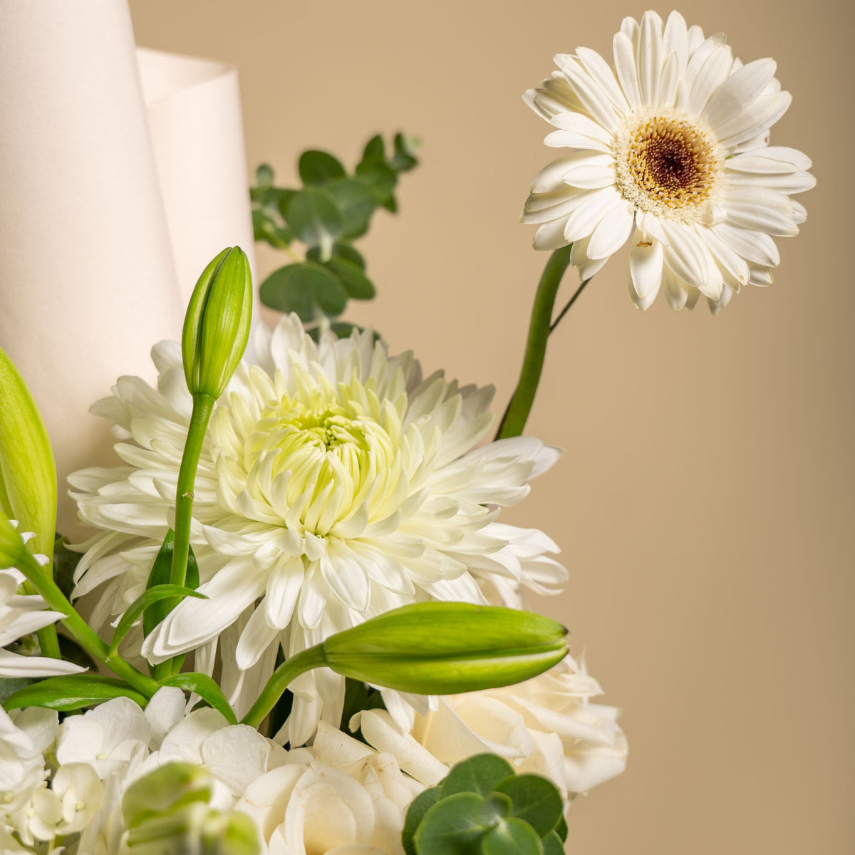 Ivory petite bloom box
