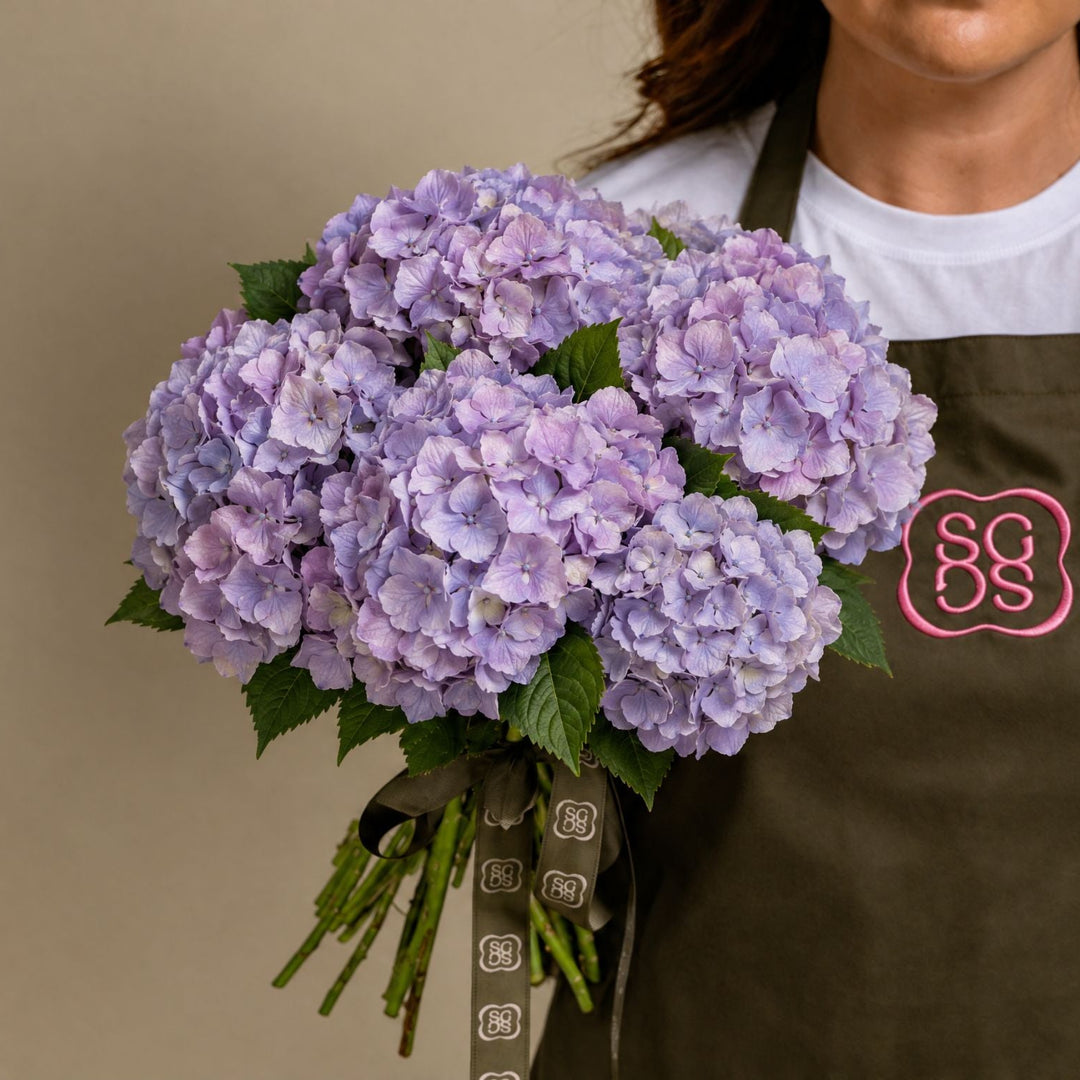Lilac Hydrangea