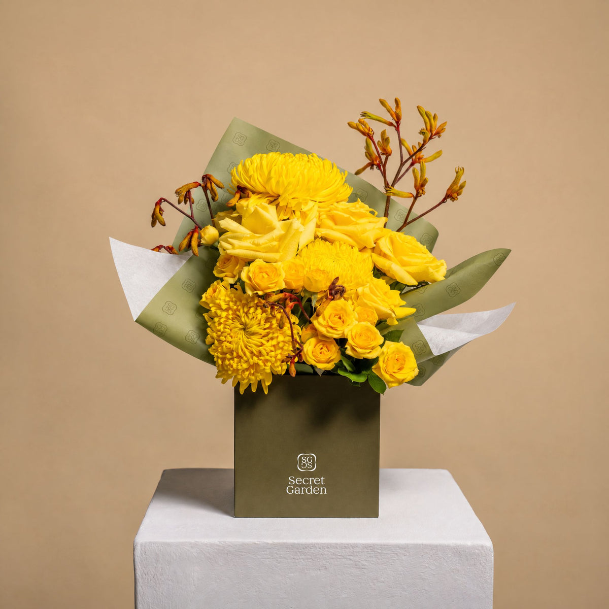 Mimosapetitebloombox1