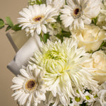 Load image into Gallery viewer, Moonflower Signature Bloom Box
