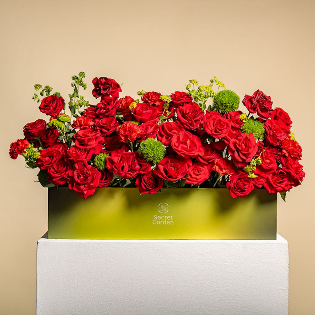 Rubybotanciastatementbox