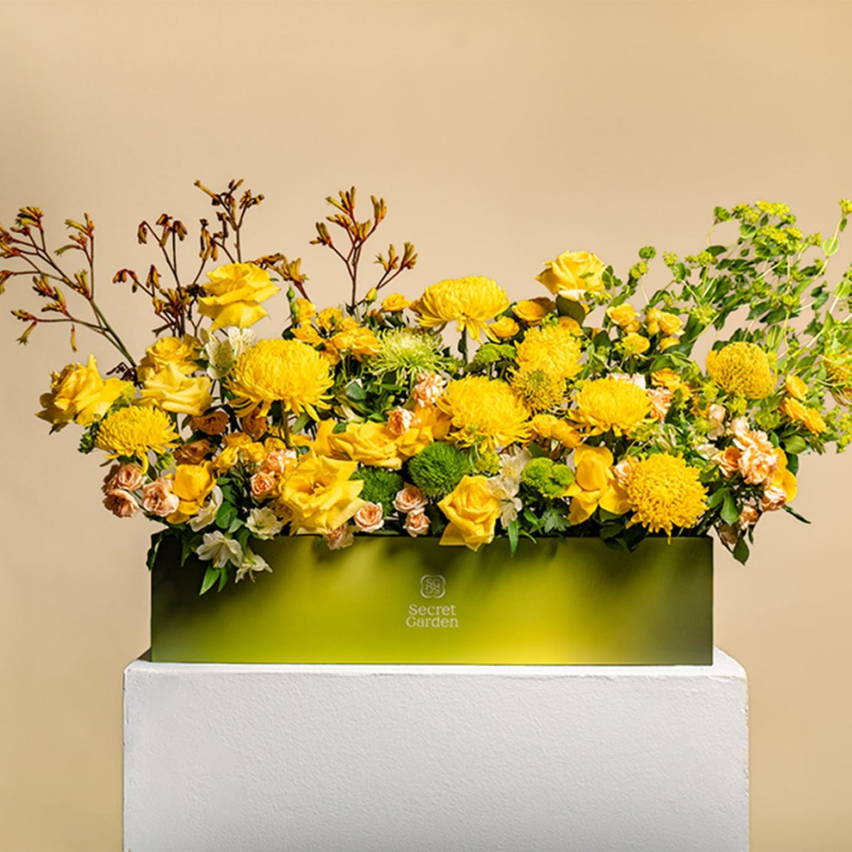 Sunsetmeadowstatementbox